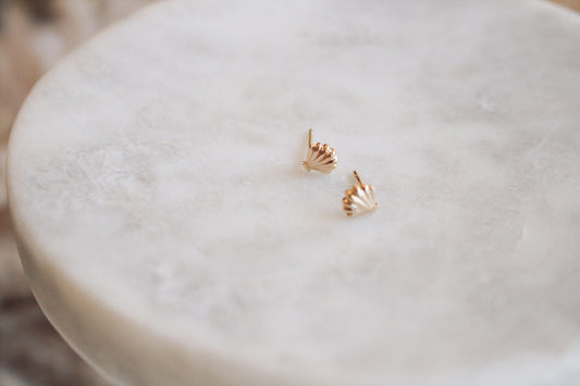 Mini Gold Shell Studs