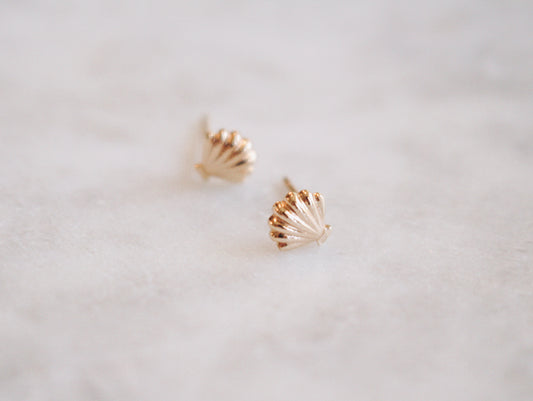 Mini Gold Shell Studs