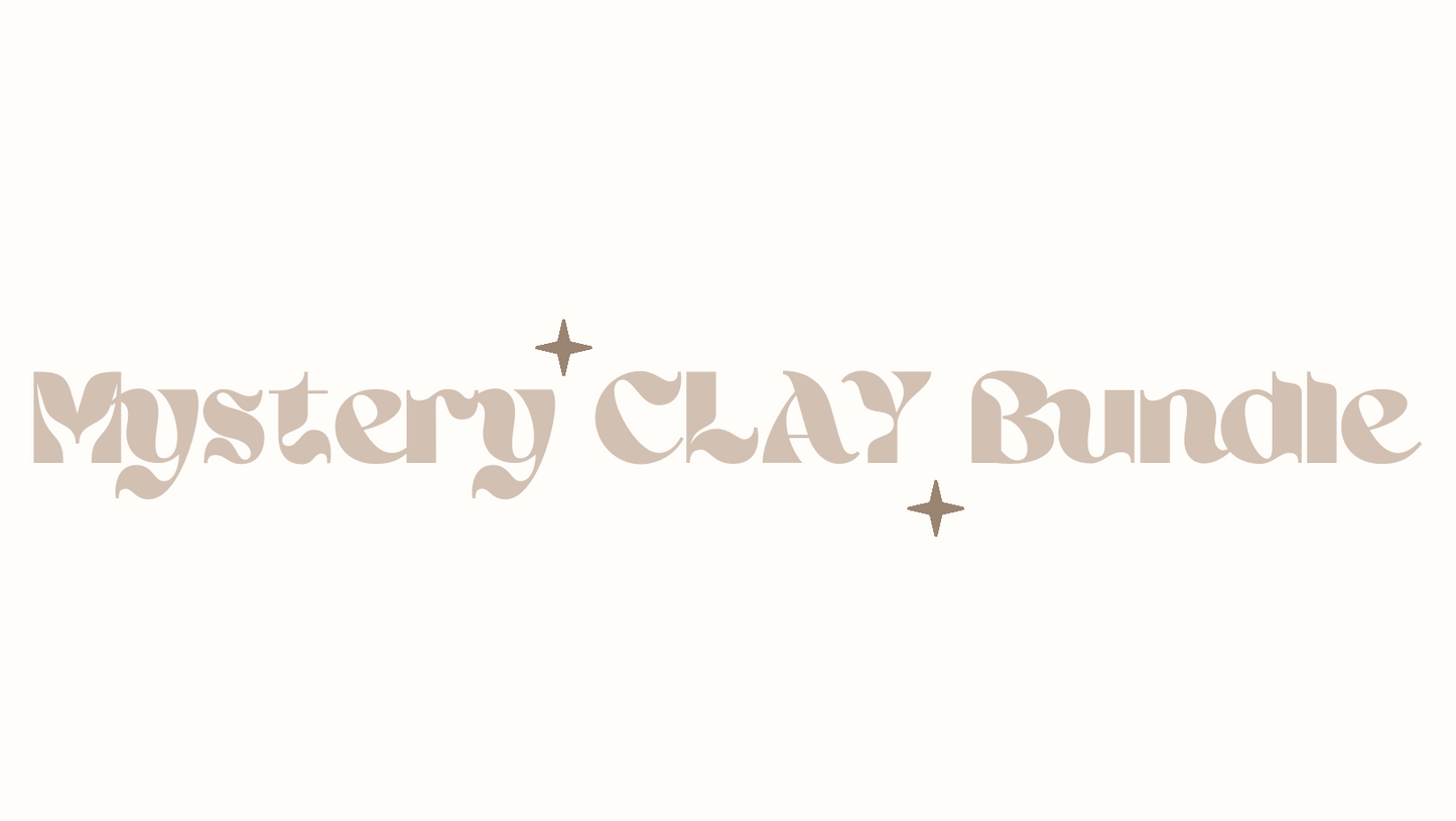 Mystery CLAY Earring Bundle